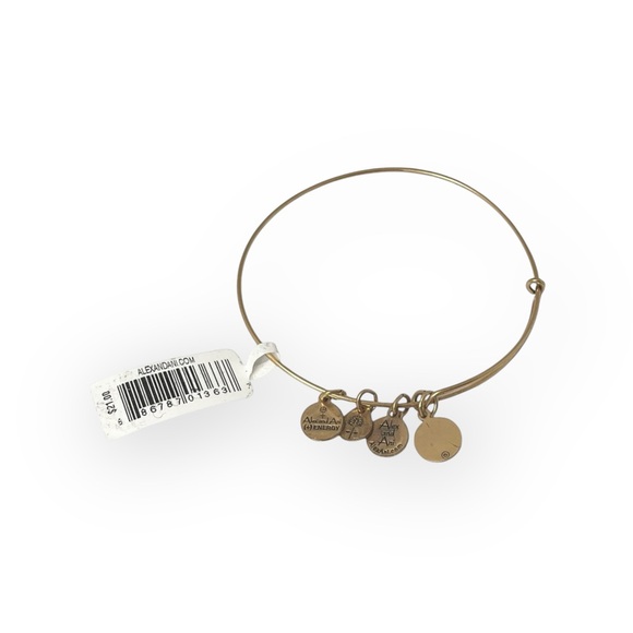 new Alex and Ani ꥟ Mini Script Initial "G" Wire Bangle Bracelet ꥟ Rafaelian Gold - Picture 7 of 13